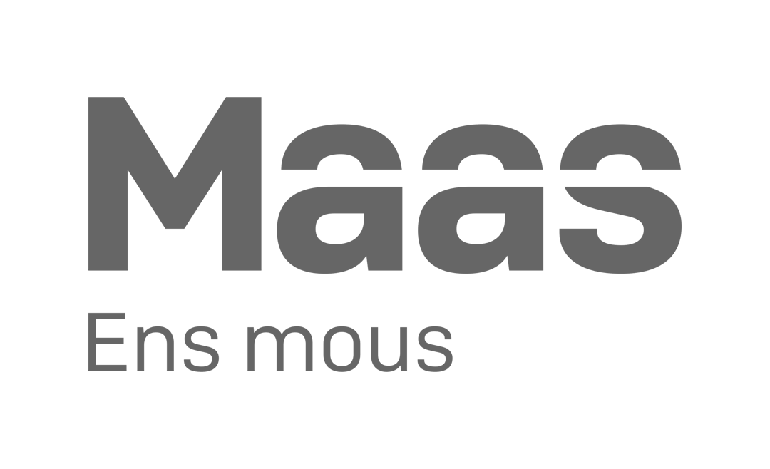 Cochesymotosocasion colaborador Grupo Maas